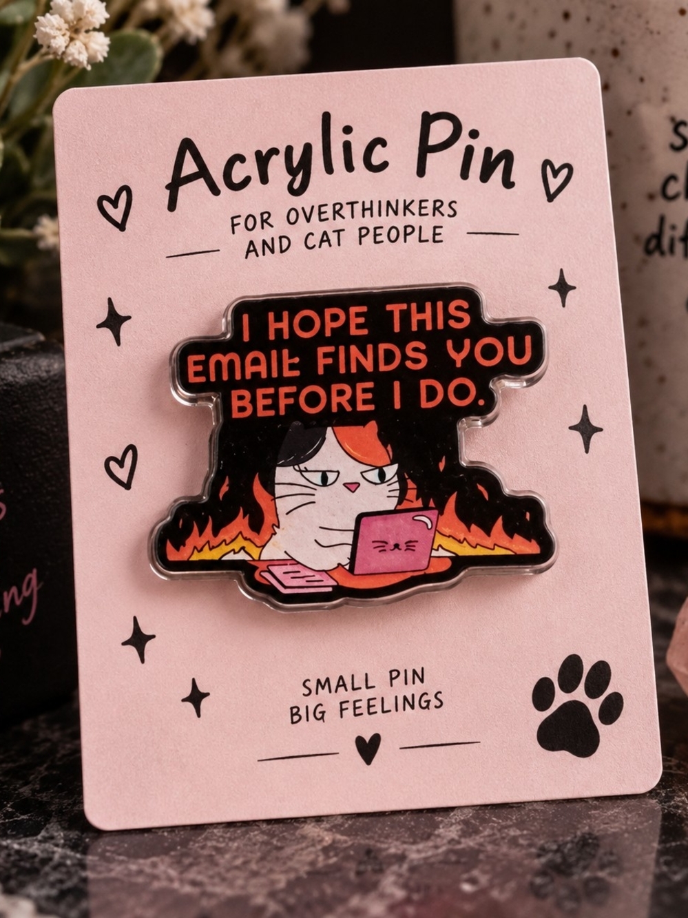Pink Acrylic Cat Pin – 'I Hope This Email Finds You Before I Do' Funny Cat New